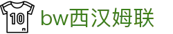 中国·必威(bw·西汉姆联)中文官方网站-West Ham Unite